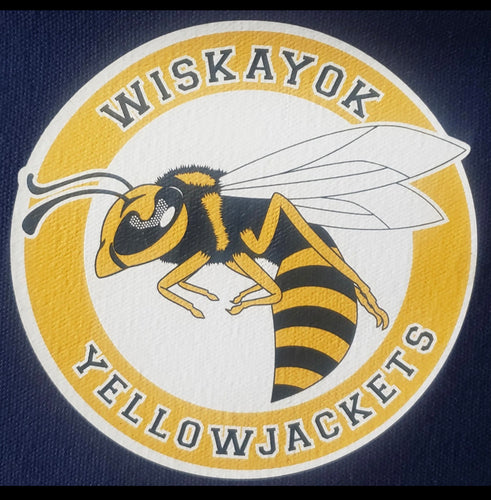 15 patches iron on - Thenextembroidery